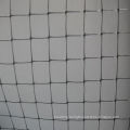 Anti Bird Net, Diamond or Square Shape, 10x10/15x15/8x18/20x17/20x20 for Plant Protection